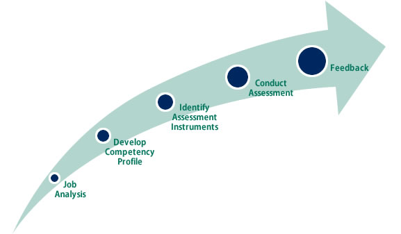 Assessment Process